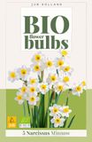 JUB Narcissus minnow bio bloembol 5 stuks