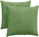 vidaXL - Zitkussens - 2 stuks - Lichtgroen - 45 x 45 cm - Corduroy stof