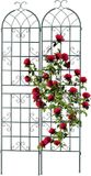 Relaxdays Plantenklimrek Set van 2 - 220x50 cm - Vrijstaand - Metaal - Groen