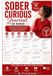 Sober Curious Journal for Women