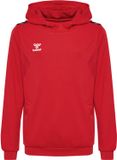 Hummel Sweat à capuche Hmlauthentic Pl Enfants 219977