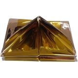 Goldenship Couverture de survie