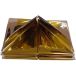 Goldenship Couverture de survie