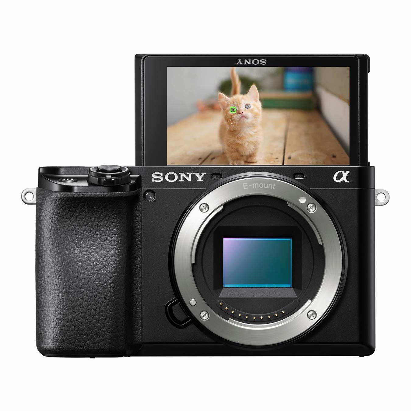 Sony Alpha 6100 - Mirrorless Camera - 24.2MP - 4K - Black