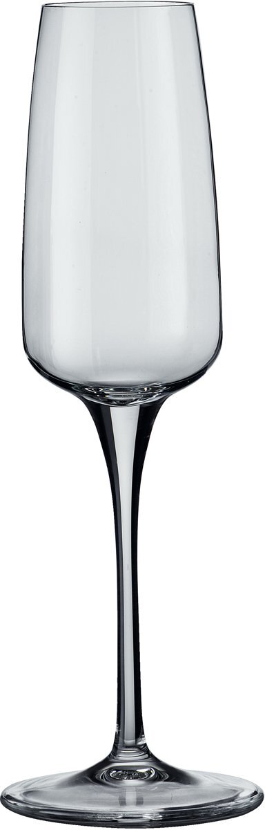 Bormioli Aurum Champagneglas - 23cl - Set-6