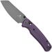 Bestechman Cicada's Wing BMK06B Coated 10Cr15MoV, Purple G10, zakmes