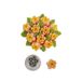 Decora 0263620 Pastry Decorating Nozzle