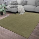 TT Home Vloerkleed Woonkamer Laagpolig Eenkleurig Modern Design Wasbaar, Maat:60x100 cm, Kleur:Lichtgroen