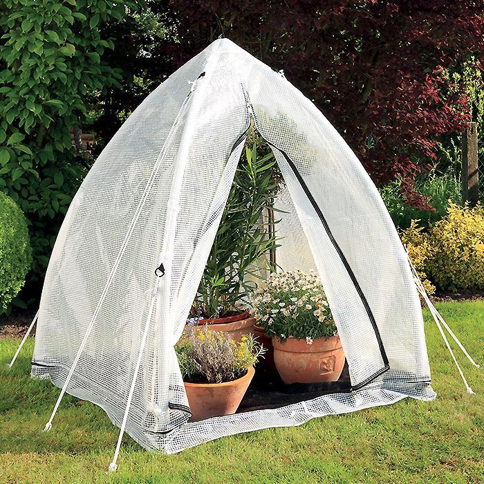 Bio Green Ti M - Broeikas voor thuis - Wit, Doorschijnend