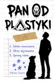Pan Od Plastyki: Sztuka nowoczesna, Okres dojrzewania, Sprawy różne.