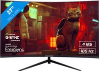 RAIDER Pro Gaming Monitor - 27 inch - VA - 165Hz - 1ms - Curved - FreeSync/G-Sync