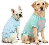 Gilet de refroidissement pour chien - Lot de 2 - Rembourré - Respirant - T-shirt de protection