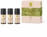 Primavera Set Aroma Sauna Fresh & Energy Bio (3 x 10 ml)