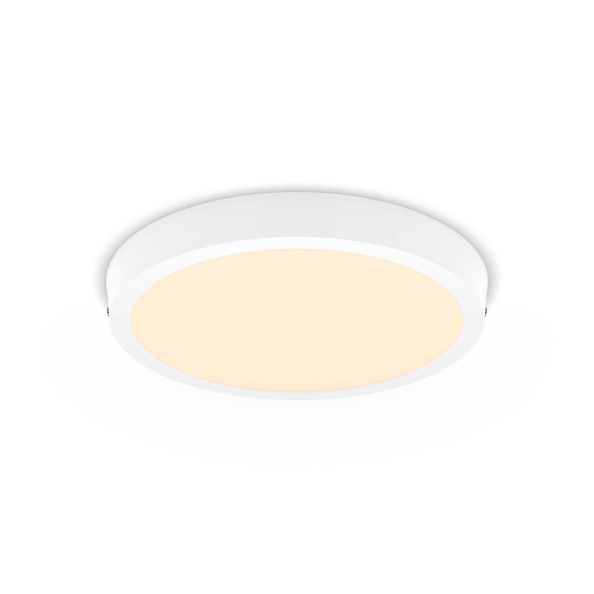 Philips Functioneel Downlight