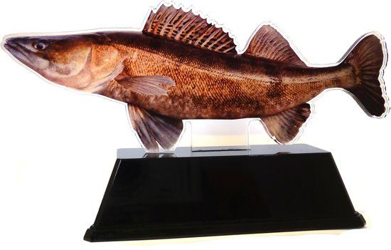 Vistrofee Real Fish Snoekbaars 23 cm - Prijs Snoekbaarswedstrijd Beker Viswedstrijd Snoekbaars