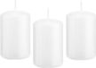 Trend Candles Cilinderkaars/stompkaars - 12 stuks - wit - 5 x 8 cm - 18 branduren