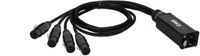 Adam Hall 4 STAR CATBOX XF3 - Audio & DMX Meeraderig | Adam Hall® 4 XLR 3-polig Female x Cat.6a