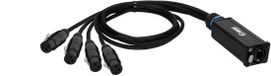 Adam Hall 4 STAR CATBOX XF3 - Audio & DMX Meeraderig | Adam Hall® 4 XLR 3-polig Female x Cat.6a