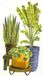 Copic Ciao stiftenset Botanic met markerblok - 3 stuks
