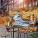 Rivière Automne Papier Peint Panoramique - 390 cm X 260 cm
