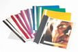 Durable Clear View Folder Durable 2570 A4 - Wit