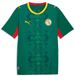 Puma FSF Away Replica Jersey L Wild Green-Puma Red