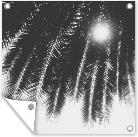GreatGardenPosters Tuinposter - Palmbladeren Zwart Wit - 100x100 cm - Zomer - Kunststof