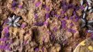 GamersGrass GGTT-PU, violet, 500 pièces