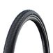 Schwalbe Big Apple RaceGuard 24x2.0 inch, Black