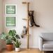 Poteau griffoir Poteau griffoir chat - Poteau griffoir pour chats - Poteau griffoir bois - Mural - Jusqu'à 206 cm - Réglable