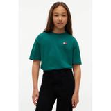 Tommy Hilfiger T-shirt - donkergroen