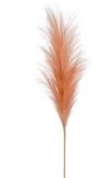 Emerald Pampasgras pluim losse steel/tak - oudroze - 115 cm - Decoratie kunst bloemen/graspluimen