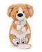 NICI Pluche hond met eend 40 x 20 cm – bruin – zeer zacht NICI pluche dier – schattig pluche dier om te knuffelen en te spelen – super cadeau-idee voor kinderen en volwassenen – 62165