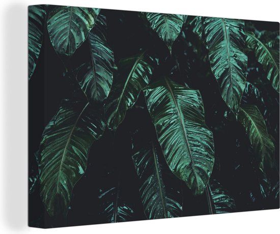 OneMillionCanvasses Canvas schilderij 150x100 cm - Jungle - Palmboom - Bladeren - Multicolor - Rechthoek
