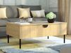 MONDIE table basse 1 porte battante chêne baltique