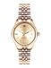 GANT Sussex (34 mm) gouden wijzerplaat/goud pvd roestvrij staal G136015