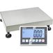 Kern IFC60K3L Platformweegschaal