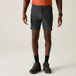 Regatta Bergshorts voor heren