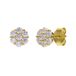 Lucardi Dames Zilveren goldplated oorknoppen met zirkonia voor dames - Oorbellen - 925 Zilver - Goudkleurig
