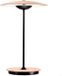Marset Ginger Lampe sur pied Wengé - Chêne - Wengé, Laiton brossé-Laiton brossé, Laiton brossé-Blanc