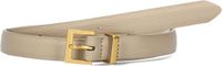 Notre-V Tulia Classic Riemen - Creme - Maat 105