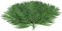 EUROPALMS Kokospalmwedel 110cm