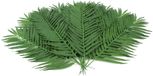 EUROPALMS Kokospalmwedel 110cm