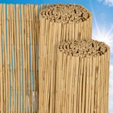 Sol Royal S36 – Rietmatten Privacyscherm 200x600 cm – Duurzaam & Weerbestendig Balkonscherm 100% Riet – Windscherm & Zonwering
