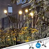 RexTech Solar tuinverlichting pad 'Miami' - Set van 6 priklampen - Zwart