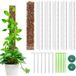 FRIXOVEL Icecat 6 Pièces Tuteur Plante Grimpante, Tuteur Monstera Mousse Sphaigne Coco, 61 Cm Support En Plastique Pour Plantes Grimpantes En Pot, Bâton Extension Support De Plante D'Intérieur Maison Jardin