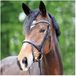 Kavalkade Rijhoofdstellen Diana KavalSH5 Cob Zwart Leer/Rubber