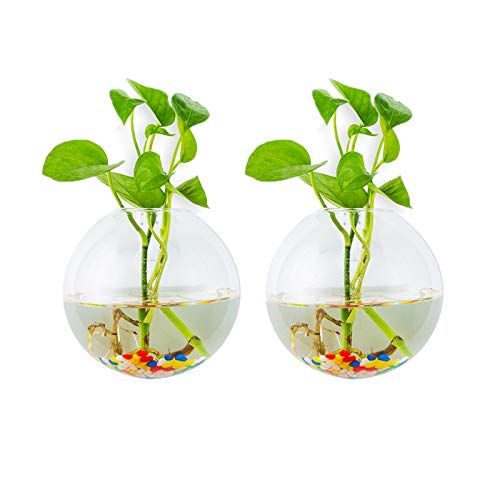 Glasseam Muur opknoping glazen plantenbakken 2 stuks bolvormige vorm plantenpotten terrarium container vaas met 60 g kleurrijke stenen binnen buiten voor thuis tuin kantoor bruiloft