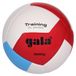 Gala Volleybalbal Gala Training Bv5475s