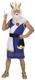 Widmann Zeus kostuum voor mannen - Verkleedkleding - Medium